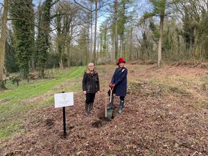 Supporting image for story: Almost 900 trees being planted at Combermere Abbey to celebrate Platinum Jubilee