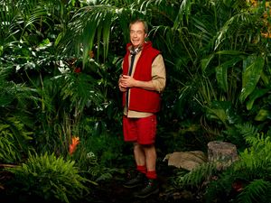 Supporting image for story: Fred Sirieix criticises Nigel Farage’s Brexit poster on I’m A Celebrity