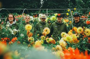 Super Furry Animals will headline TK Maxx Presents Live at Llangollen Pavilion on Thursday July 2