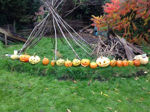 Supporting image for story: Gardens are glorious in Shrewsbury