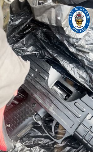 Delayni was jailed for eight years after admitting to the charges