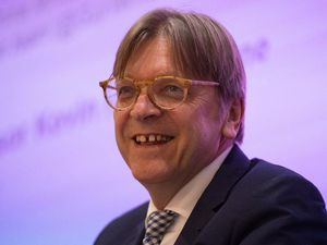 Supporting image for story