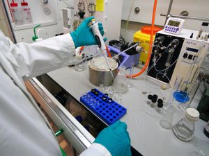 Supporting image for story: ‘World-first trial could revolutionise brain cancer treatment’ – researchers