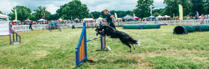 DogFest. All pictures from: https://dog-fest.co.uk/cheshire
