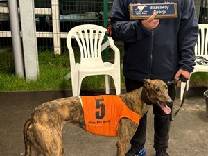 Supporting image for story: Special Olympics gold medalist turns to greyhounds in Wolverhampton after upping sticks to the Midlands from Cornwall
