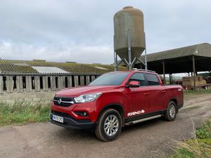 Supporting image for story: Long-term report: A month of doing pick-up things in our SsangYong Musso LWB