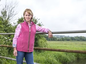 Supporting image for story: NFU cautiously welcomes new agricultural transition policy
