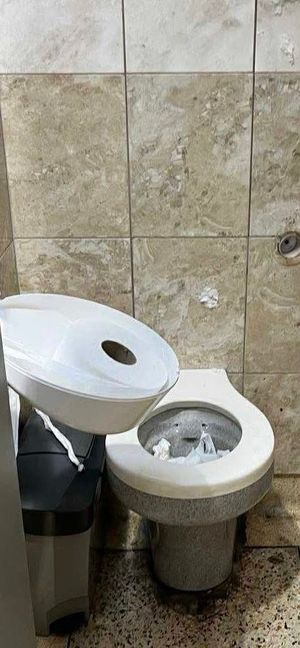 Blocked toilets and a toilet roll holder pulled from the wall