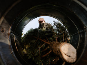 Supporting image for story: New farm shop and food centre near Oswestry gets go-ahead