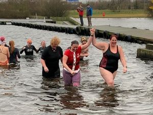 Supporting image for story: Hardy swimmers brave the cold at Chasewater County Park