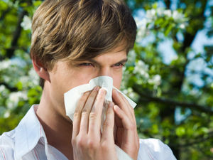 Supporting image for story: Jack Averty: Life’s a sneeze in summertime and hay, we all nose why it is!