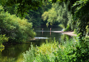 Cooling off in the River Severn at Ironbridge