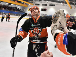 Supporting image for story: Telford Tigers throw away leads in Steeldogs defeat