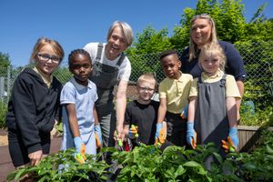 Pupils at Rufford Primary School during the Green Fingers Growing programme hosted by The Fine Collective