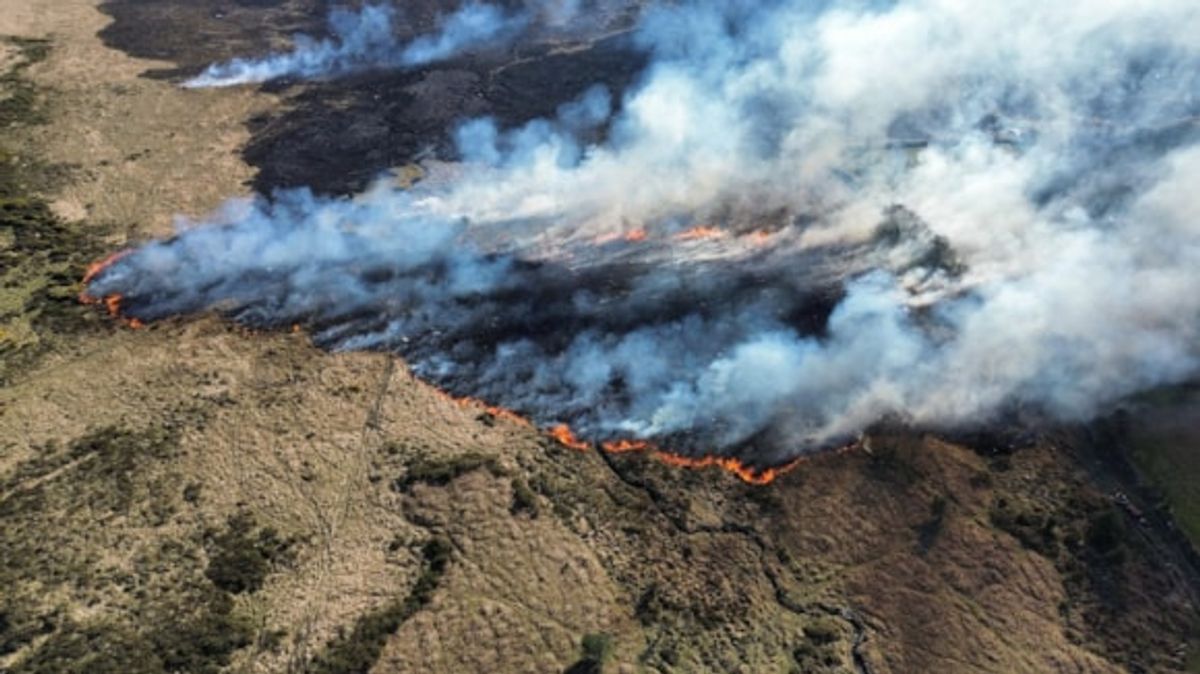 Mid and West Wales Fire and Rescue Service unveils bold wildfire plan after landmark engagement process