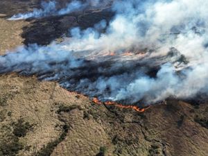 Supporting image for story: Mid and West Wales Fire and Rescue Service unveils bold wildfire plan after landmark engagement process