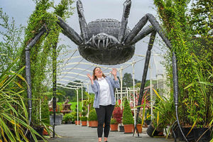 Supporting image for story: Incy bit wince-y over giant spider