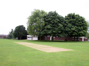 Supporting image for story: Cricket club offering free training as part of its 125th anniversary year celebrations 