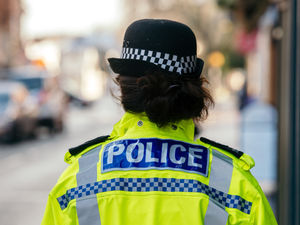 Supporting image for story: Burglars scared of by pet dog in Walsall