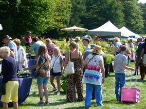 New Summer Plant Fair at Chasewater Country Park This Sunday