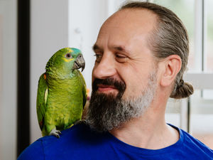 Supporting image for story: Lola the parrot back home and full of cherries after Shrewsbury adventure