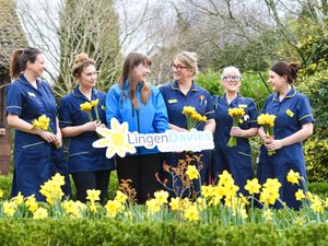 Supporting image for story: Nurse specialists celebrated at Shropshire hospital