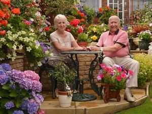 Supporting image for story: Gardening is the best blooming medicine for Donald