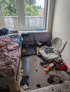 A picture showing the condition of the home where the dogs were kept. Photo: RSPCA