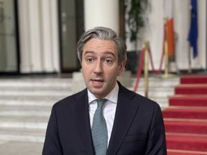 Supporting image for story: Irish deputy premier to include services from Israeli settlements in trade ban