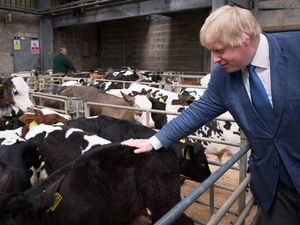 Supporting image for story: PM urged to put food standards pledge into law before EU talks