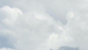 Students from Codsall Community High School march to Mr Williamson's constituency office  