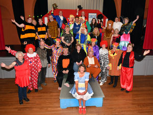 Supporting image for story: It’s panto time in Builth Wells again!
