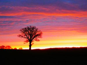 Supporting image for story: Blazing red sunrise gives a stunning welcome to Wednesday 