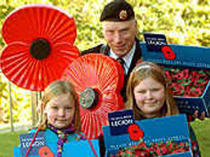 Supporting image for story: Plea for poppy collectors