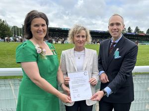 Supporting image for story: Welsh language recognition for Royal Welsh Show organisers