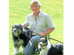 Supporting image for story: Farming Talk: Excitement is mounting for our show day