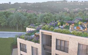 Proposed roof garden included in the development