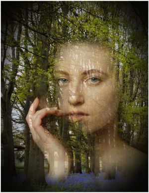 The Wood Nymph by Trish Sangster