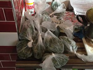 Supporting image for story: IN PICTURES: Thousands of pounds worth of cannabis seized in raid on Wolverhampton home