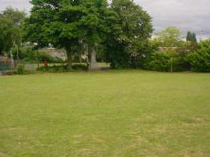 Supporting image for story: Academy planning changes to terms