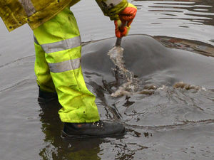 Supporting image for story: Smart monitors being rolled out across region