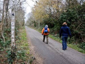 Supporting image for story: Slow walkers may be more likely to die from Covid-19, study suggests