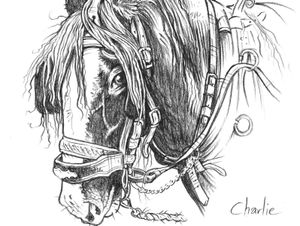 Supporting image for story: Library to host launch of new Shropshire poetry book