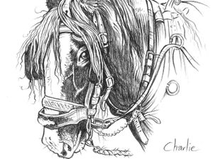 Supporting image for story: Library to host launch of new Shropshire poetry book