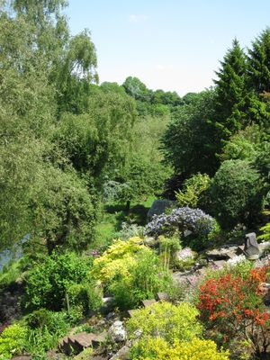 Supporting image for story