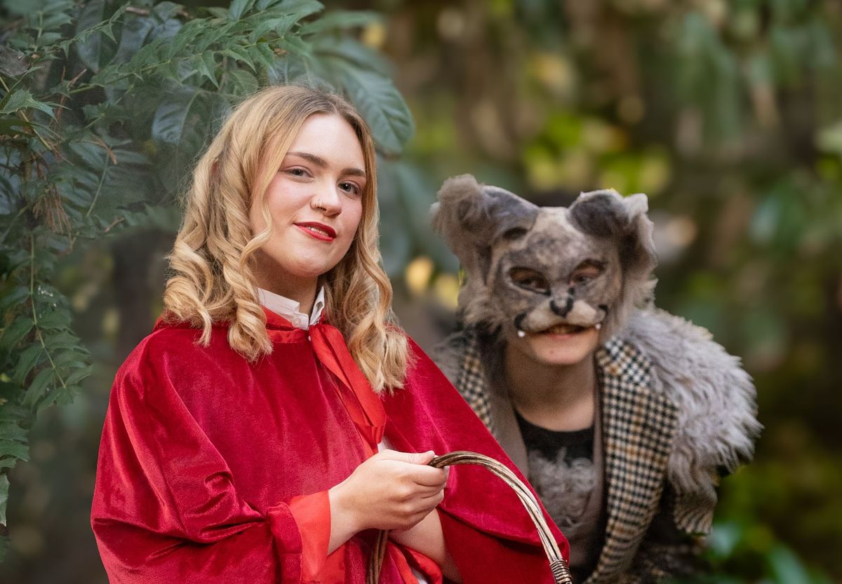 Step into a world of fairy tales as Kidderminster society stages Into the Woods
