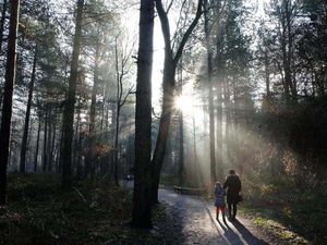 Supporting image for story: What a scorcher! 2014 named warmest on record