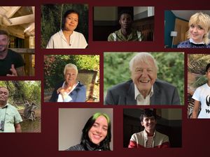 Supporting image for story