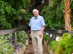 Supporting image for story: Madame Tussauds unveils new waxwork of Sir David Attenborough