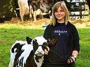 Supporting image for story: Thousands gather for big show